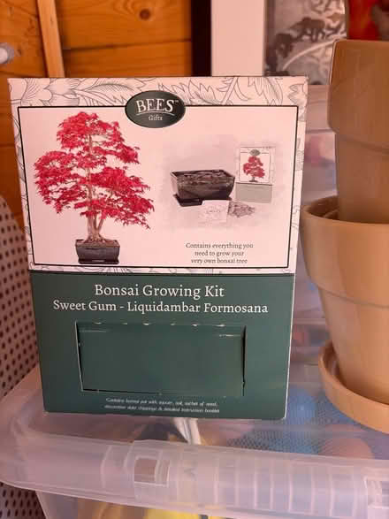 Photo of free Bonsai sowing kit (Goodnestone ME13) #1