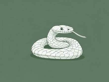 Photo of Snake viv (Quinton B32) #1