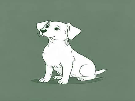 Photo of Small dog Crete (Barton-in-Fabis CP NG11) #2