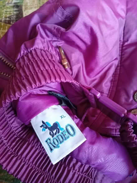 Photo of free Winter ski type trousers (Buriton GU31) #3