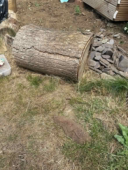 Photo of Logs (Hoddesdon EN11) #1