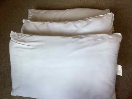 Photo of free 3 SILENTNIGHT pillows - Clean (Grange Estate, Letchworth SG6) #1