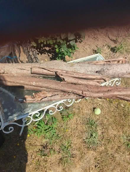 Photo of free Eices of bark from a conifer yree (Eastham rake) #1