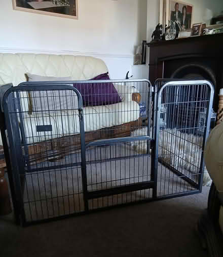 Photo of free metal puppy pen (wakefield WF4) #1