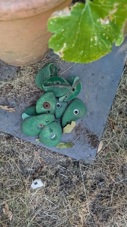 Photo of free Climbing holds (University Area RG1) #1