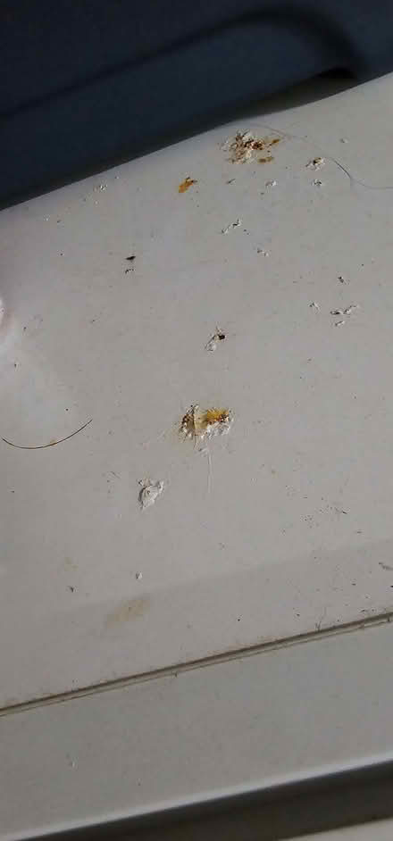 Photo of free Freezer (Norton LD8) #2