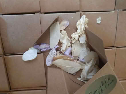 Photo of free 23 boxes of fresh petal confetti. (Whitnash CV31) #2