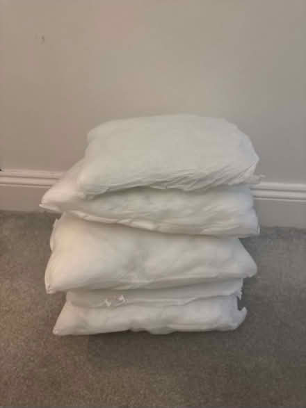 Photo of free 5 x pillow inserts (LA1) #1