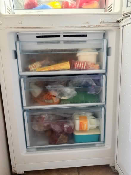 Photo of free Bosch fridge freezer (Odd Down, BA2) #3