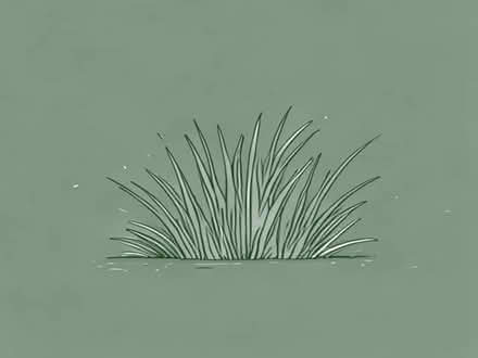 Photo of Green grass (Bieldside AB15) #2
