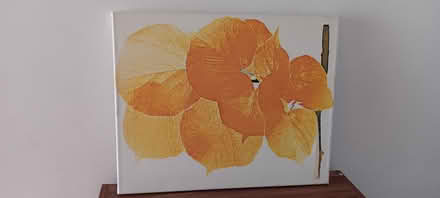 Photo of free Print on canvas (Fenny Stratford MK2) #1