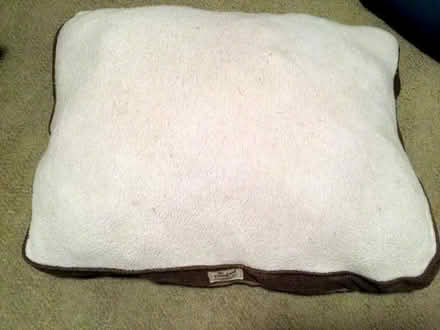 Photo of free Large Dog Beds (Near El Camino & Walnut) #3