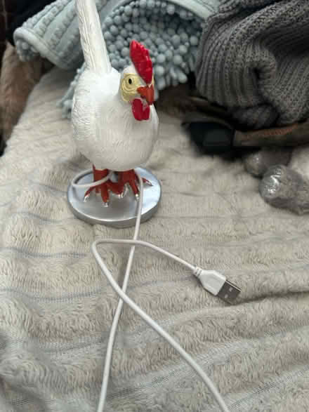 Photo of free USB chicken light (Bridlington YO16) #1