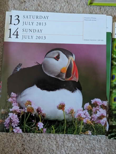 Photo of free 2013 Picture A Day Bird Calendar (Matlock DE4) #3