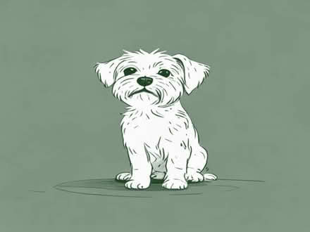 Photo of Small dog Crete (Barton-in-Fabis CP NG11) #1