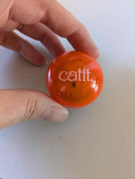 Photo of free Cat it flashing ball (Addlestone KT15) #1