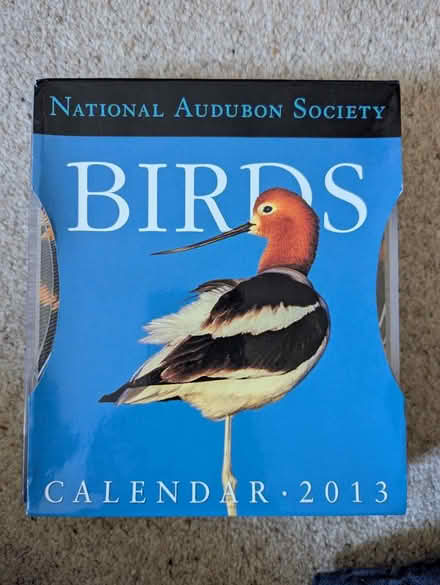 Photo of free 2013 Picture A Day Bird Calendar (Matlock DE4) #1