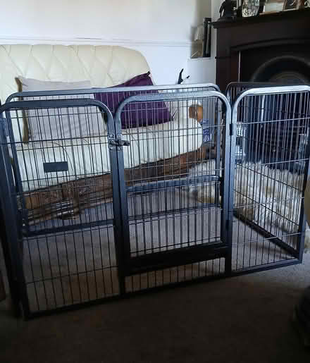 Photo of free metal puppy pen (wakefield WF4) #2