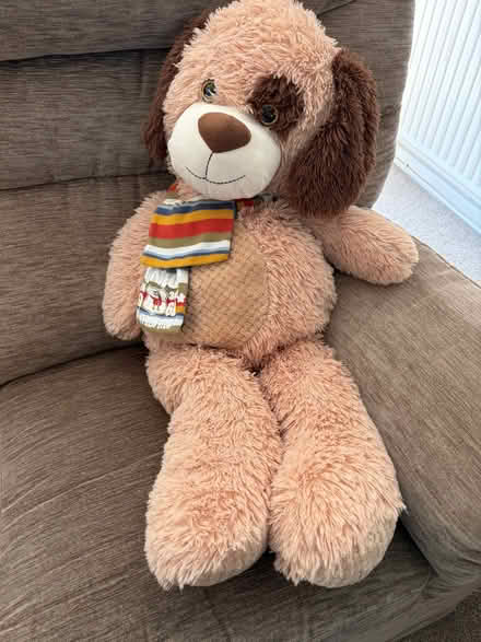 Photo of free Big soft dog teddy (Longbarn WA2) #1