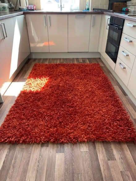 Photo of free Shag pile Rug (Cosham PO6) #1