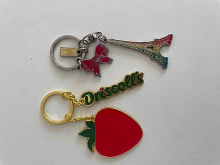 Photo of free Keyrings (Wandsworth SW18) #1