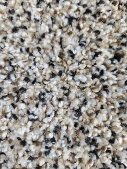 Photo of free LAST CALL: Carpet and Padding (94015) #1