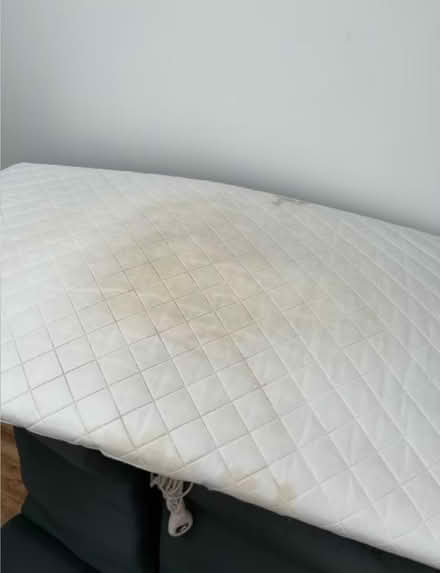Photo of free Toddlers bedframe and mattress (Shirecliffe S5) #4
