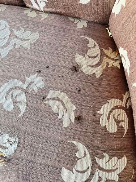 Photo of free Antique Settee (Oradell) #3