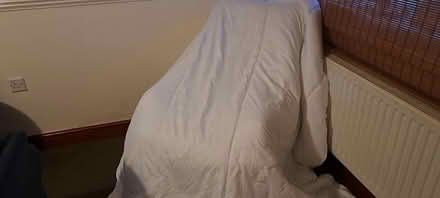 Photo of free Double duvet - no cover (Hampton Hargate) #1