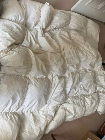 Photo of free Feather double duvet winter weight (Blackford EH9) #1