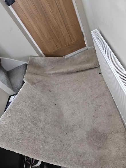 Photo of free Ikea rug beige for upcycling (Finchley N31) #1