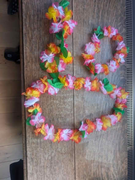 Photo of free Hawaiian dressing up garland (Neasden NW10) #1