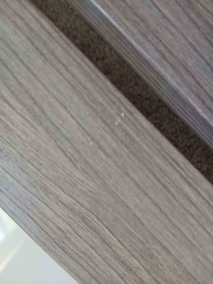 Photo of free Picture frames (Used) (Bear Flat BA2) #2