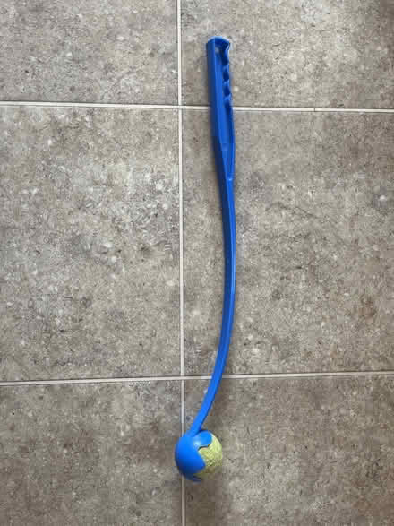 Photo of free Dog ball thrower (Barnham) #1