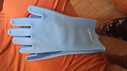 Photo of free Gloves for hair cats and dogs (Marshalswick AL4) #2
