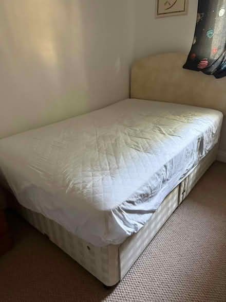 Photo of free Bed and mattress (SW15 Putney Vale) #1