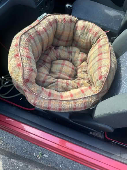 Photo of free Small Dog Bed (Sherborne DT9) #2