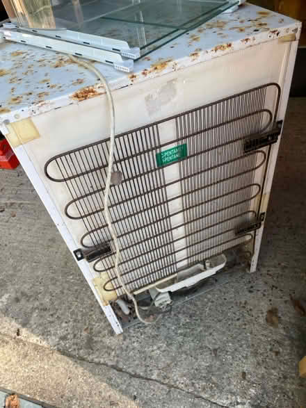 Photo of free Beko free standing fridge (Sm69nf) #3