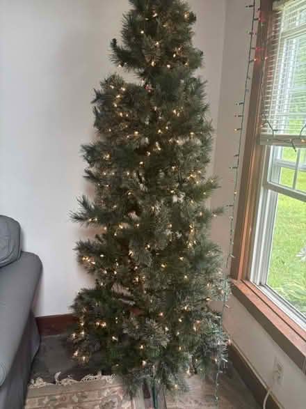 Photo of free 7' tall Xmas tree (Naugatuck CT 06770) #1