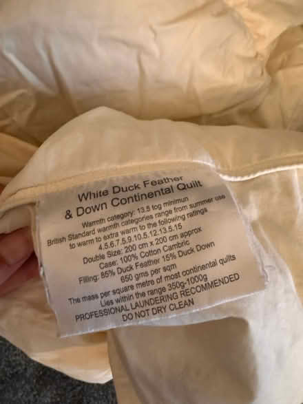 Photo of free Duck down duvet (L17) #1