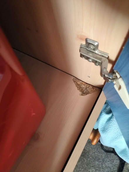Photo of free Kids wardrobe (Kendal LA9) #3