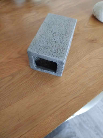 Photo of free Aquarium Pleco Hide (Peacehaven, BN10) #1