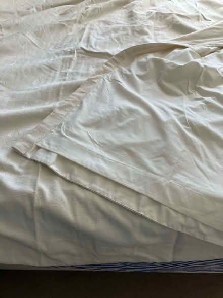 Photo of free Large bedroom curtains (Silverdale Road TN4) #3