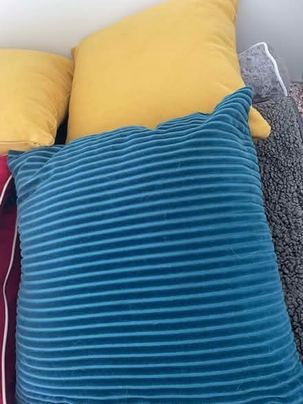 Photo of free John Lewis Any Day Cushions (Shortlands BR2) #2