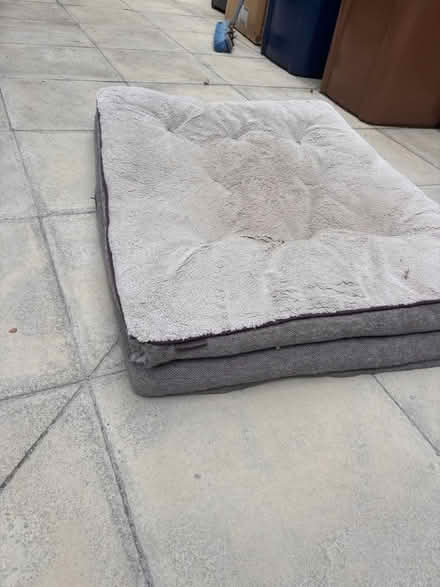 Photo of free Large dog bed (UpperHale GU9) #1