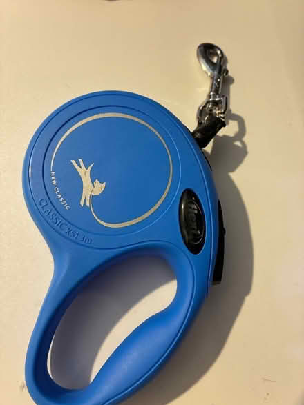 Photo of free Small cat lead (Shenley brook end MK5) #1