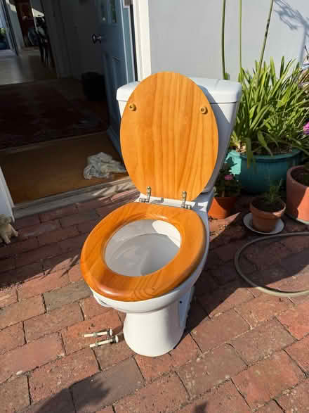 Photo of free Complete Toilet Set with Wooden Seat (West Hill BN1) #3