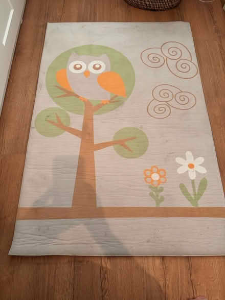 Photo of free Children’s Owl Rug 98 × 145 cm (W4 3RL) #1