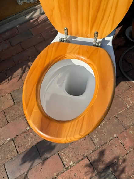 Photo of free Complete Toilet Set with Wooden Seat (West Hill BN1) #4