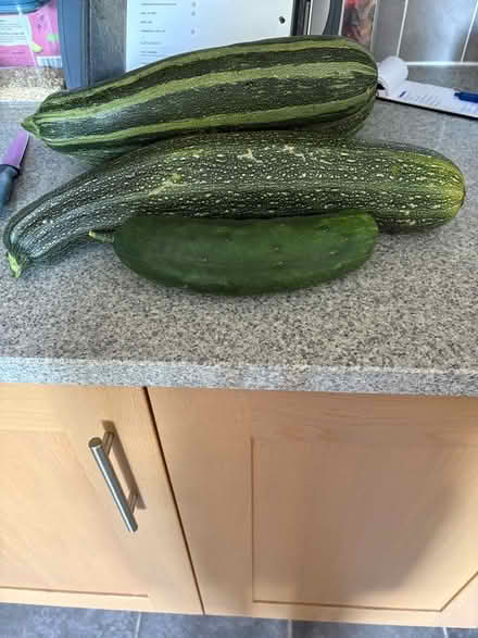 Photo of free Marrows etc (Lyncombe BA2) #1